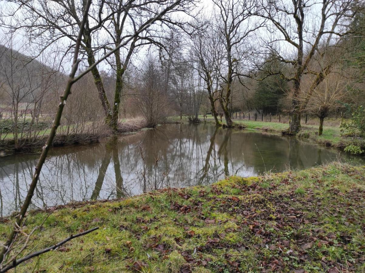 Thonnance-lès-JoinvilleLe Moulin Aux Ecrevisses住宿加早餐旅馆 外观 照片