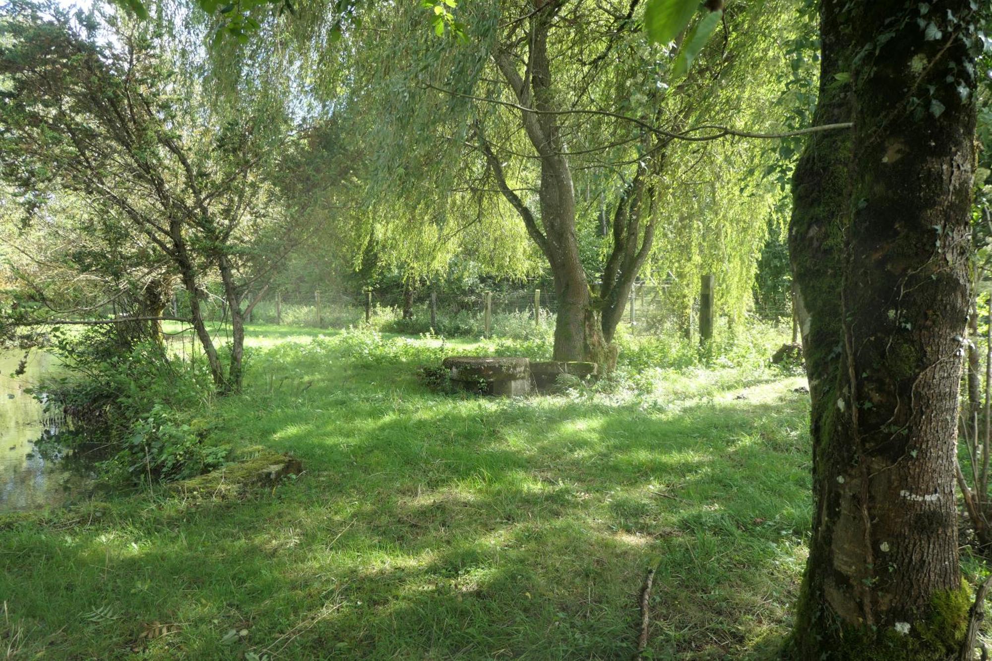 Thonnance-lès-JoinvilleLe Moulin Aux Ecrevisses住宿加早餐旅馆 外观 照片