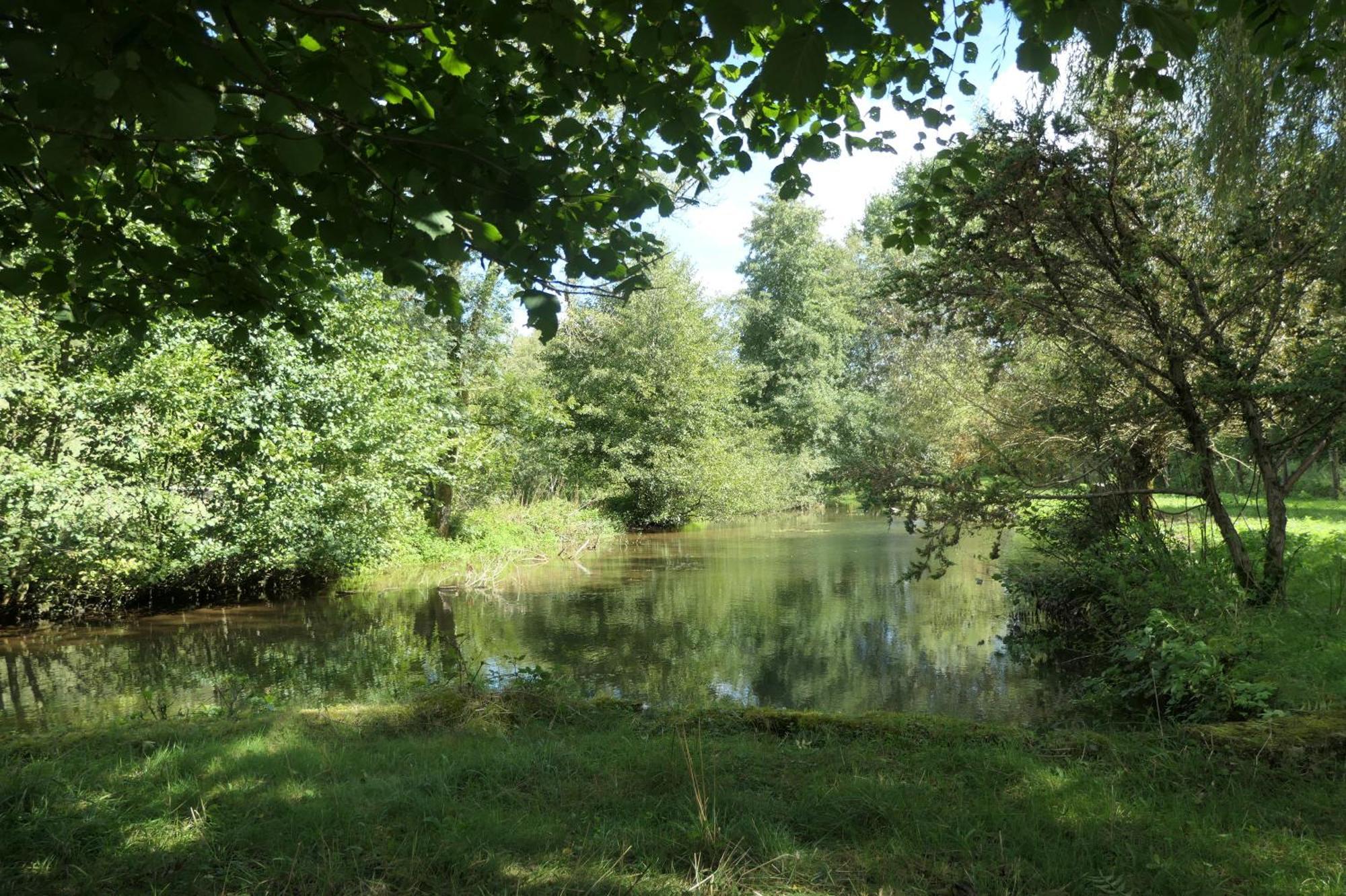Thonnance-lès-JoinvilleLe Moulin Aux Ecrevisses住宿加早餐旅馆 外观 照片